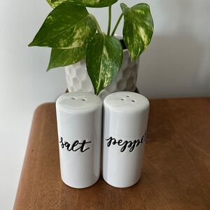 Elegant White Salt and Pepper Shakers